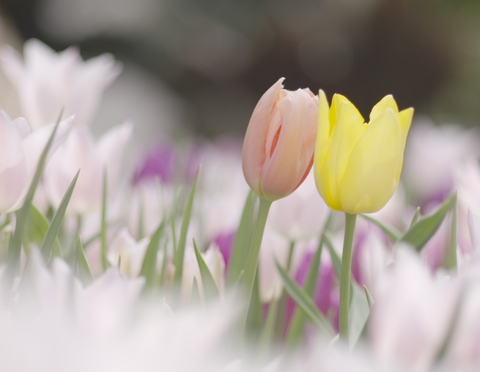 72e0872153f00391304454974fec5f84