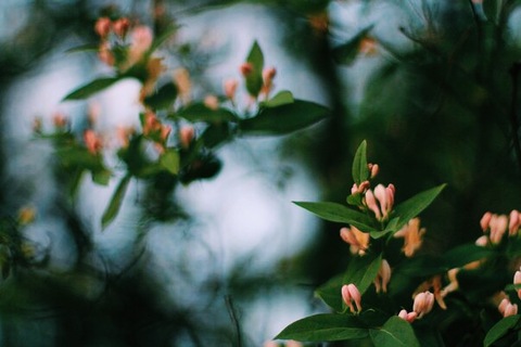 Dd77639fce62b45062fcf9ce428b8bf1