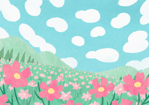 B267b229540b09f2a01ea691fd3f76ae