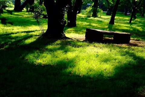 30d21fe8814b82e9a869ca8dbc4b9481