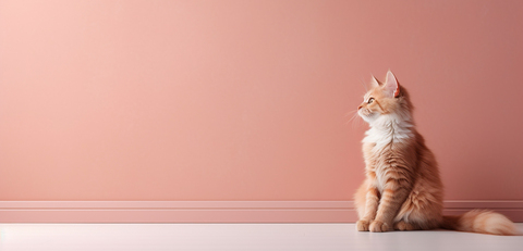 F3c7d396d0070ac6db07a8fba0773da7