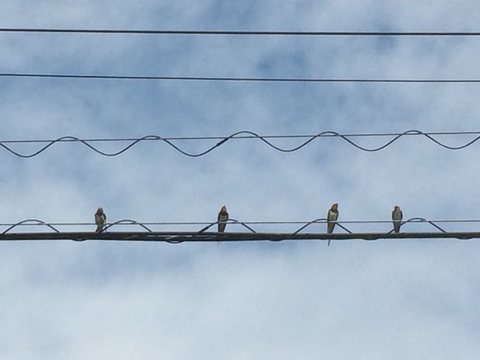 A267ec1406c7f72586b5a9160f865197