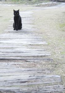 9517892b7bda04eeeccf8c02e020bc71