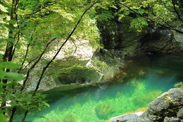 Cf3d900b6ad45ca998f41221bda62edd