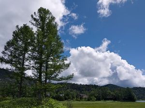 Ce6e1ff3ac15228479ff8b9b277b3f9c