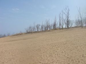 877dc5961924456db894c82d0f93943a