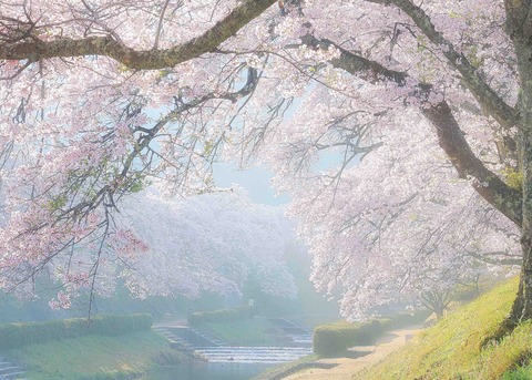 59b85b65dc294983dae2b3ec472d7eca