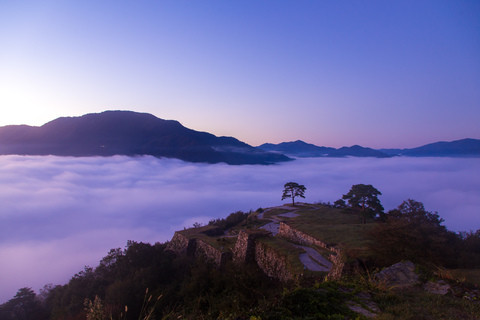 Da13f40c9c084ca606a2a5e294579920