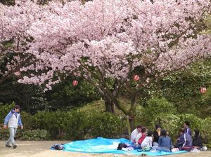 Bb1441aac219bb20647178b1fe6e40e1