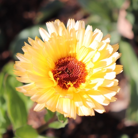 7c6f73aed0398ea103cad0a1bc3a71d0