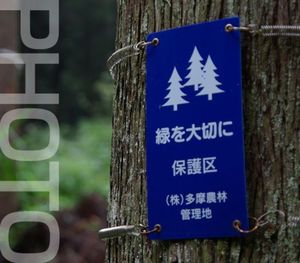 79659be7823f9c0f33abed5a98ac247f