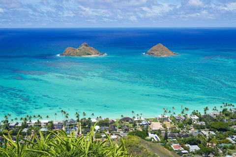 81a817a1fbb2cb310995216dd4376692