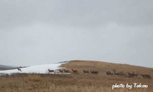 6084358d0c065175cbdcdc7379ff9dc5