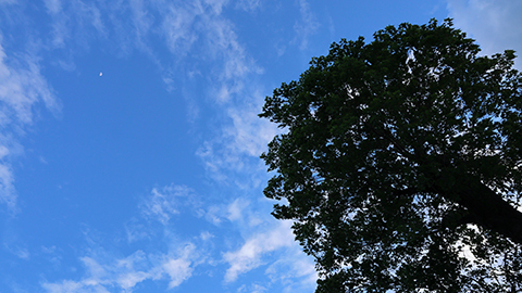 8427fd3f6faec1ee6e3234e630b74864