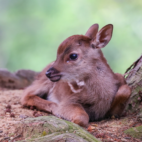 63a15af9948282838b39b7386d44ec13