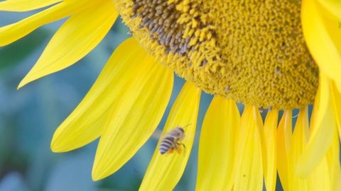 72ff970b061fea41ae8337efbaed6c61