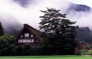 Feb84dfeb51ba534e96b5d384fafcbb2