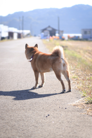 A2249ca1e76e29eca555bf4741e4ee33