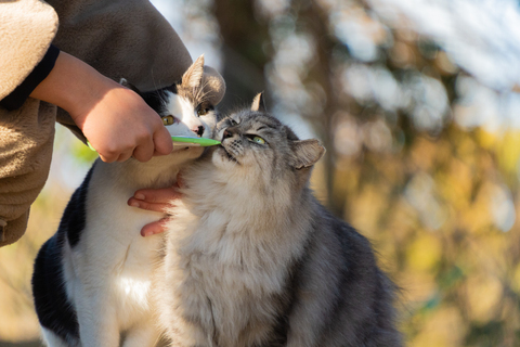 D1783bc949c2410b40b051de92117995