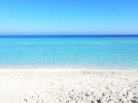 0150b14b53863443f88cbab22d3bbb41