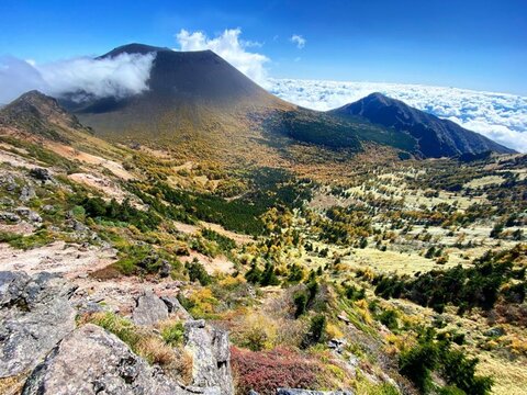 7236b0068de587e84c14111cfce675f7