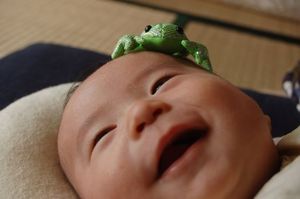 332c22981ac34478af05ace4f4fa5886