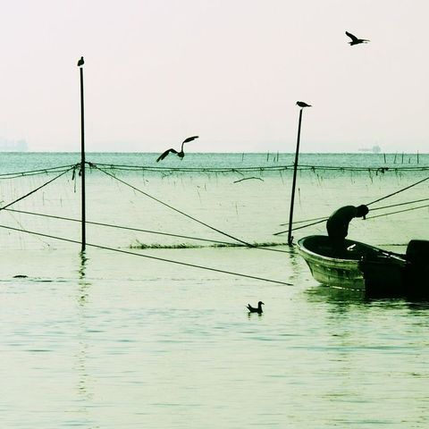 607ec2c6be1ad8904023264692bbe4e8