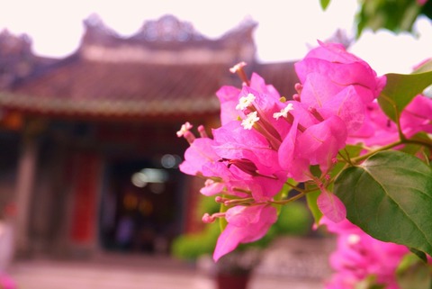 Aca957003b84c403a2b53a210b6f8f91