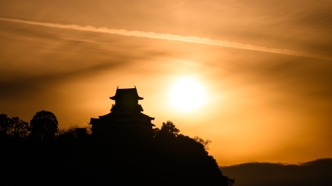 F6d8d73615188218badfdd0d2768113b