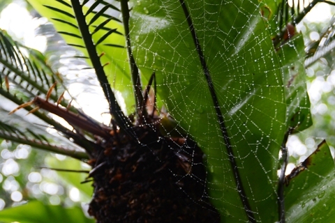 E8538dd234e26ec45c57aa8b0a3edd2e