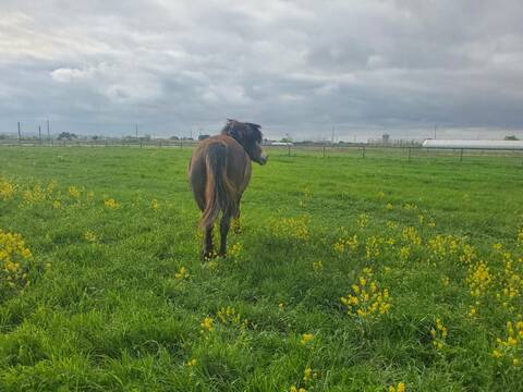 875c2978c70dc5b92a7c9acb0ced83a4