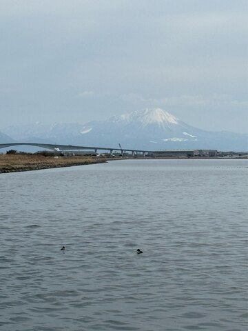 E206ecdd59ff07e9c81612fb5735bc59