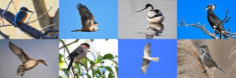 30ccdd83e5fb52aa20e4b67a4eb52668