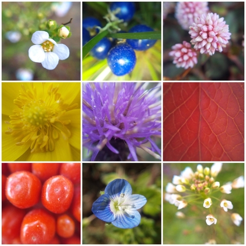 94c2733ac825a051ff77cf8a58f32fc5