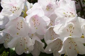 5c39a8163cde96c77df0320000e19eaa