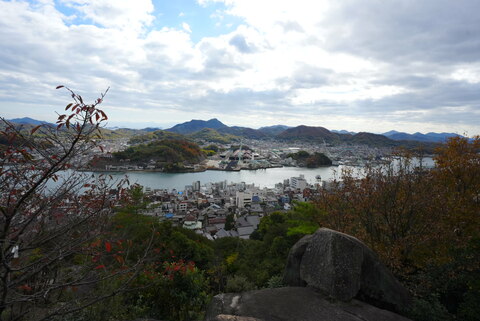 47bfcb12b7a46ee4319905a5e599cf85