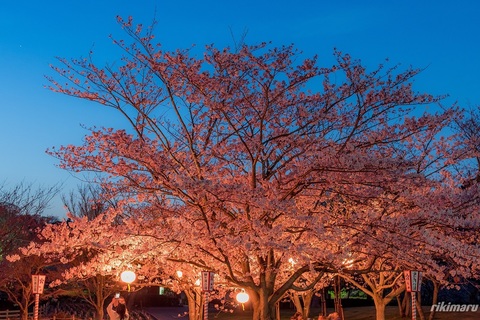 7e2d4e2dd6dd5a90fcea431dbb1b3211