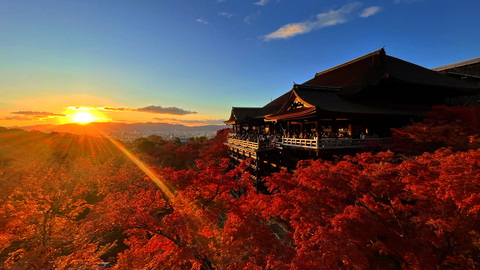 Cd666f5c5df12f50b70bd772375498c8