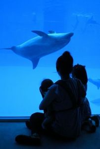 Ca7d35f5cd8935a888cd869187d50117