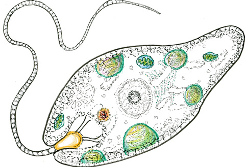 A5cfad56a8e35e5d38a3f29f9f36c8c3