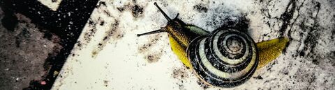 9b3d7ae345cd40223031513f6c162c11