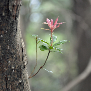 Fe5b115b203fe2a51209423a2d6cdb5c