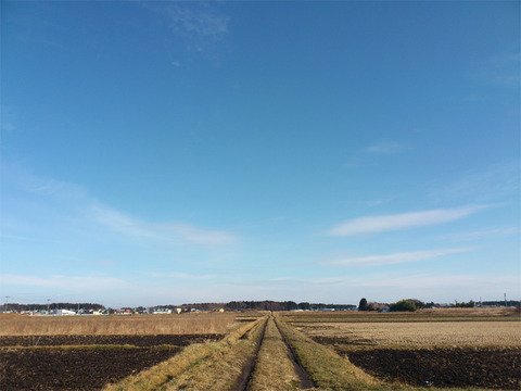 01c61908caa1a1298fe826dbd637ed36