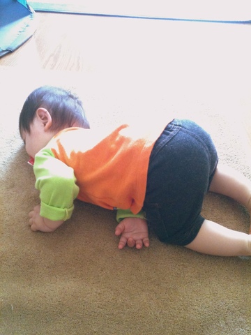 24eed044645b4c0b9aa09b96e8fa5363