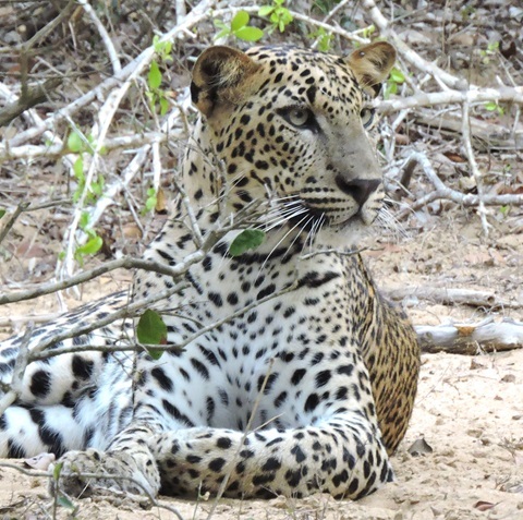 645e9add5c5fba43654170e7f64c8c08