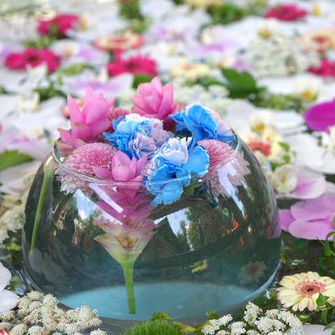 00dae4c49d279b86bff3e830cced5094