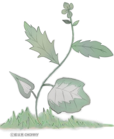 Ab8f2fab2177721b3f16ae2416ae2088