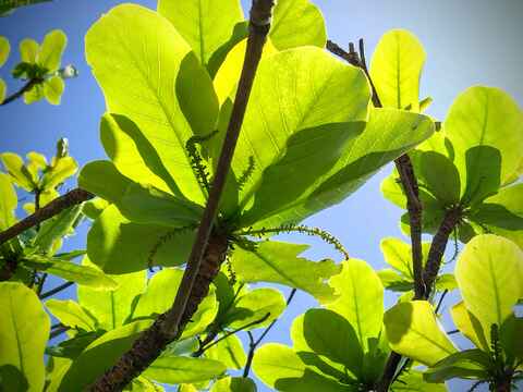 824bc17ffd84490049827a58b96e5997