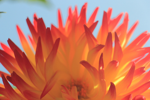 0a5090756cd52c29a55699b5c2915629