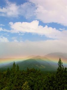 C1b4f4ab04a15c35f1ee04111495bafd